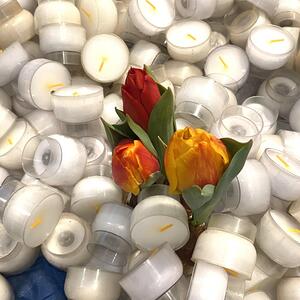 In Langenlebarn konnten sich die Messebesucher ihr 'Licht' von Maria Lichtmess mit nachhause nehmen